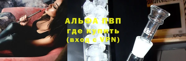 мяу мяу мука Белокуриха