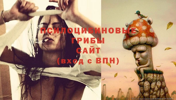 метадон Беломорск