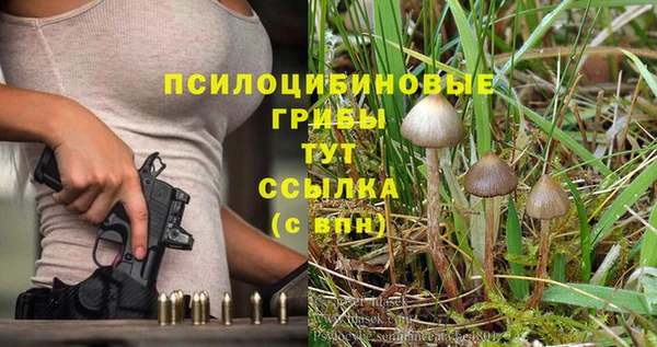 мяу мяу мука Белокуриха