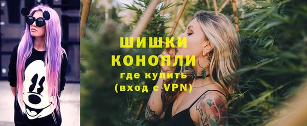 молекула духа Белоозёрский
