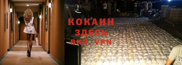 молекула духа Белоозёрский