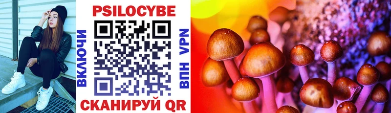 Галлюциногенные грибы MAGIC MUSHROOMS  blacksprut зеркало  Вельск  где продают  